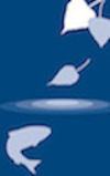 Center for Watershed Sciences