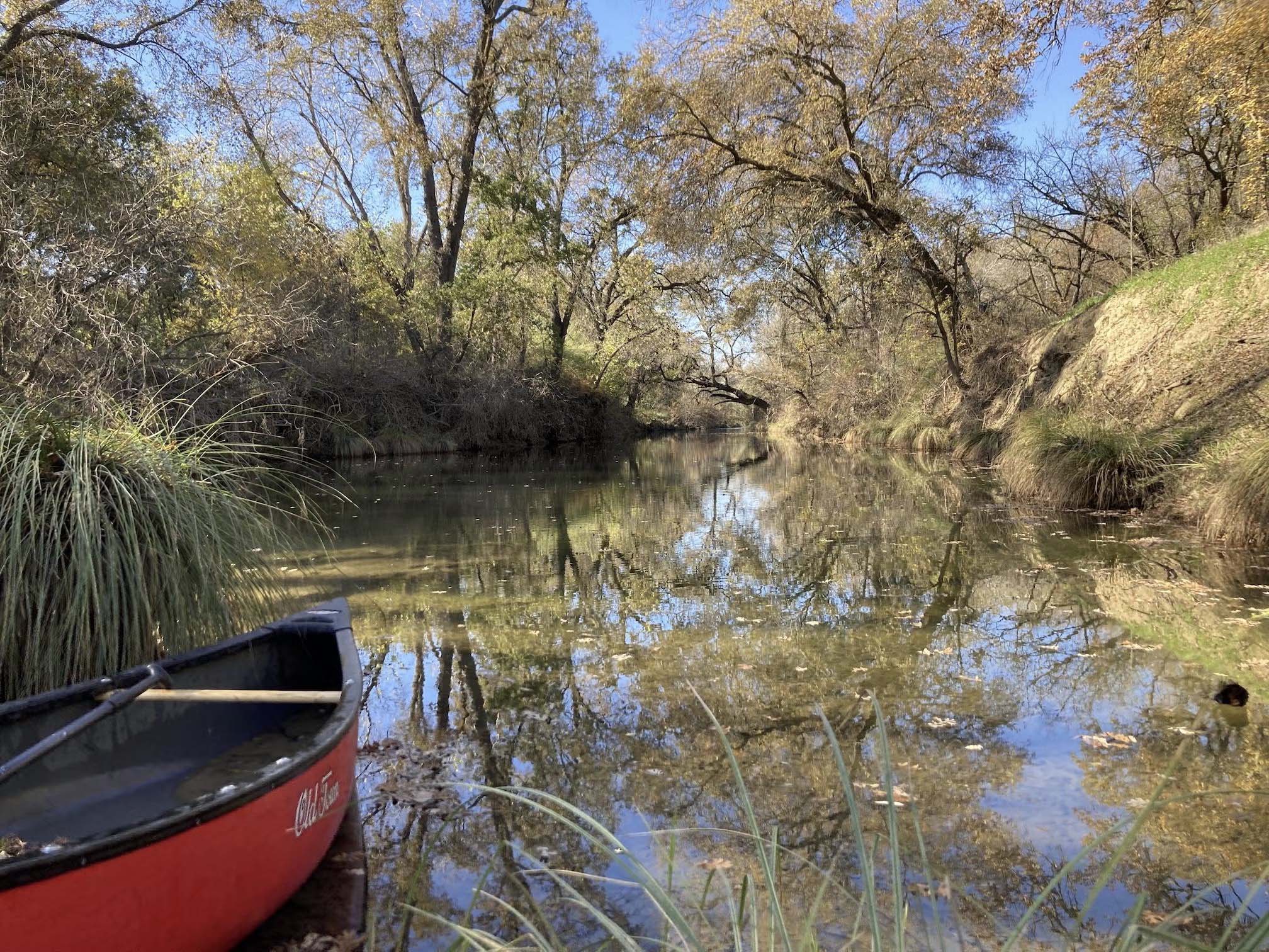 Lower Putah Creek during spawning season (c) Lauren Hitt UC Davis